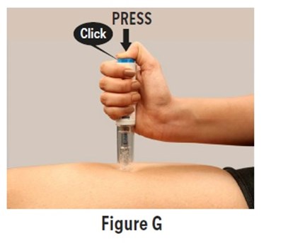 Fig8 (Fig8)