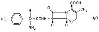 Molecular Structure (Cefadroxilcapsules Figure 01)