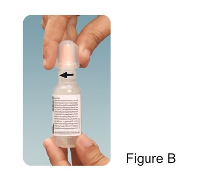 Ii (Edaa4f35 98f2 4429 8730 Babeb871b05b 03)