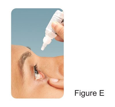 V (Edaa4f35 98f2 4429 8730 Babeb871b05b 06)