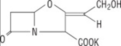 Figure (Struc Clav 02)
