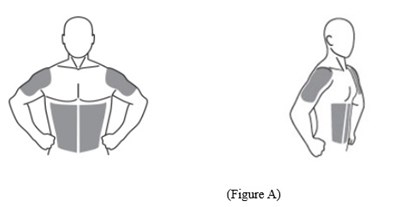 Fig-a.jpg (Fig A)