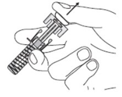 Ifu-fig-l (Image 17)