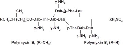 Structural Formulae (Pol0h 0000 01)