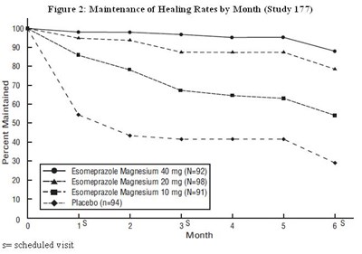 esomeprazole-fig2.jpg Figure 2: Maintenance of Healing Rates by Month (Study 177) - esomeprazole fig2