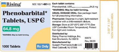 container-64p8mg-1000ct.jpg container-64p8mg-1000ct - container 64p8mg 1000ct
