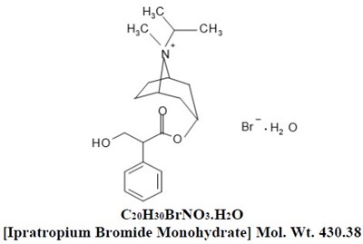 Ipratropium Bromide Monohydrate (9a5c6534 8f64 4e47 Bd67 71433f331d0a 01)