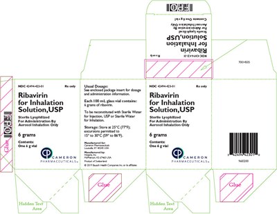 PRINCIPAL DISPLAY PANEL - 6 grams Vial Carton - ribavirin 02