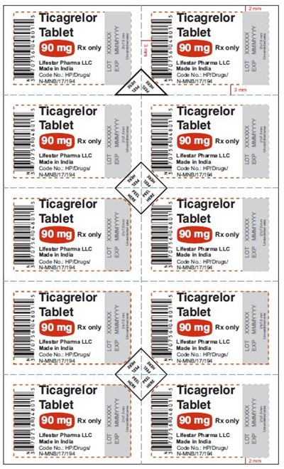 Blister Foil (D2d806f1 5c7d 4af8 9e0b 76af0e2d482a 16)