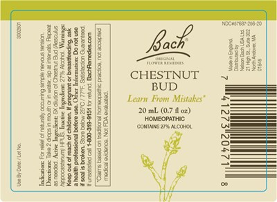 Principal Display Panel (20 mL Bottle Label)