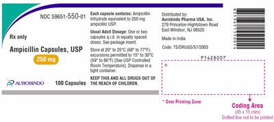ampicillin-fig1.jpg PACKAGE LABEL-PRINCIPAL DISPLAY PANEL - 250 mg (100 Capsules Bottle) - ampicillin fig1