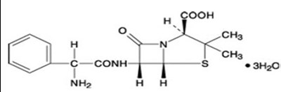 Str (Ampicillin Str)