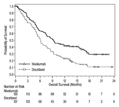 oq-os-checkmate-017.jpg oq-os-checkmate-017 - oq os checkmate 017