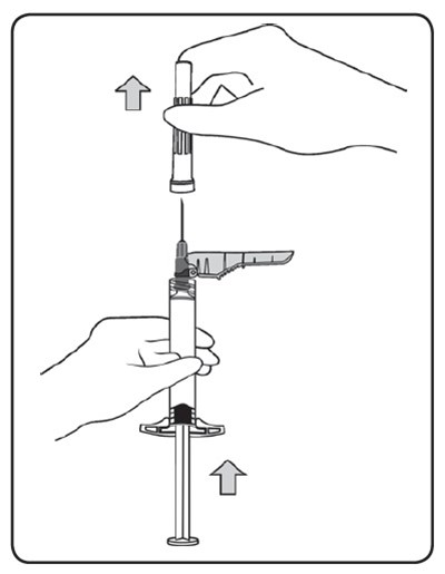 Figure 4 (Image 05)