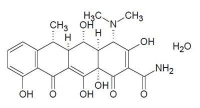 Structure.jpg Structure.jpg - Structure