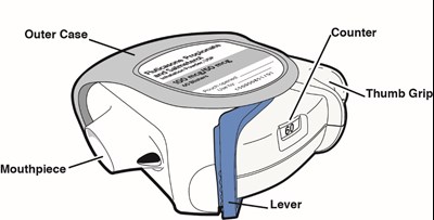 image1.jpg image1.jpg - image1