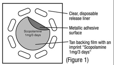 image-3.jpg 1 - image 3