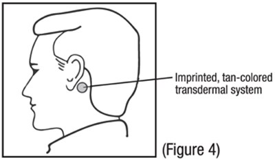 1 (Image 6)