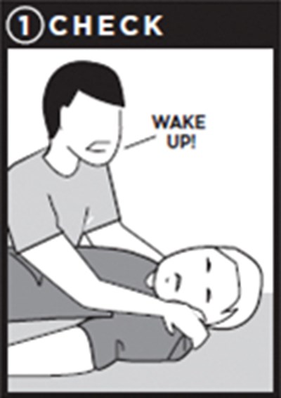 1 Check (Naloxone Hydrochloride Nasal Spray 1)