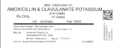 Label - lbl636294541