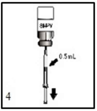 Figure 4 (Acthib 04)