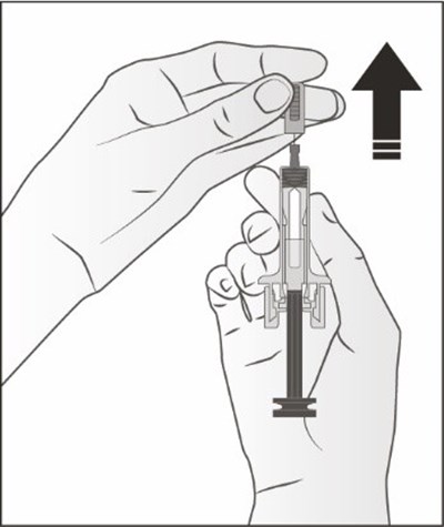 Enoby Figure A (Enoby Denosumab Qbde Injection 3)
