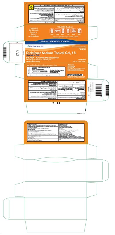 PACKAGE LABEL-PRINCIPAL DISPLAY PANEL - 1% w/w Container Carton Label (100 g Bottle) - diclofenac fig16