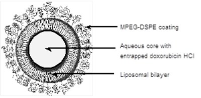 PEGLYATED - PEGLYATED