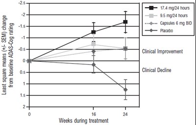 Figure 3 - rivastigmine 04