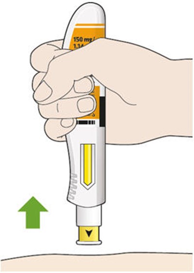 kevzara-12.jpg Image - kevzara 12