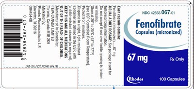 Fenofibrate Capsules [micronized] 67 mg, 100s Label (04)