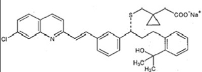 Figure1.jpg (Figure1)