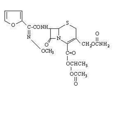 Image Description (Module)