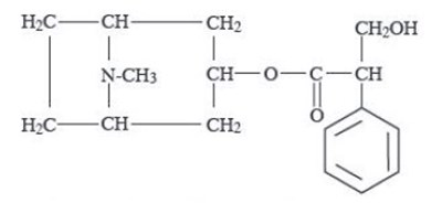 Chemical Structure 1 - image 01