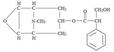 Chemical Structure 2 - image 02