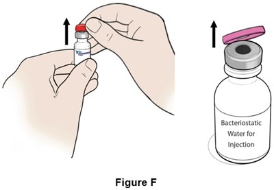 Figure F (Egr00 0001 13)