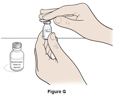 Figure G (Egr00 0001 14)
