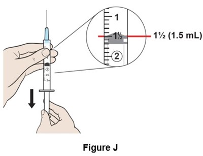 Figure J (Egr00 0001 17)