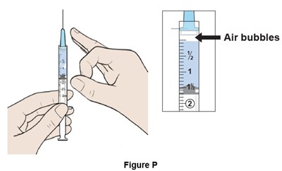 Figure P (Egr00 0001 23)