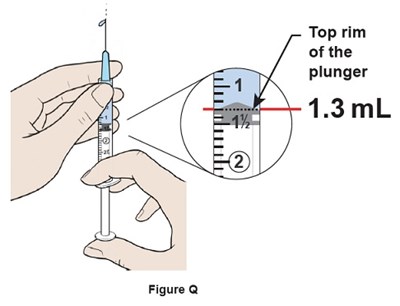 Figure Q (Egr00 0001 24)