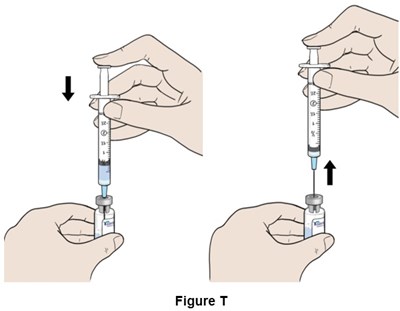 Figure T (Egr00 0001 27)