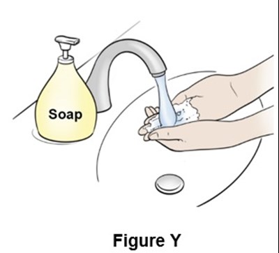 Figure Y (Egr00 0001 32)
