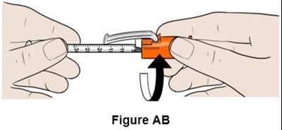 Figure Ab (Egr00 0001 35)