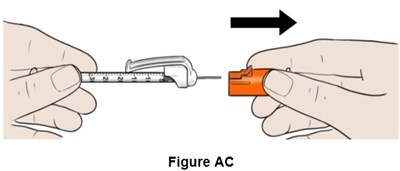 Figure Ac (Egr00 0001 36)