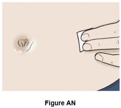 Figure An (Egr00 0001 47)