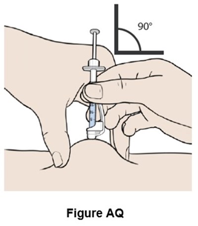 Figure Aq (Egr00 0001 50)