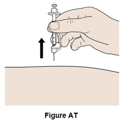 Figure At (Egr00 0001 53)