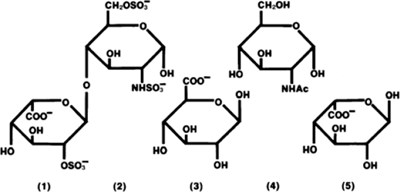 Hep0b 0003 01