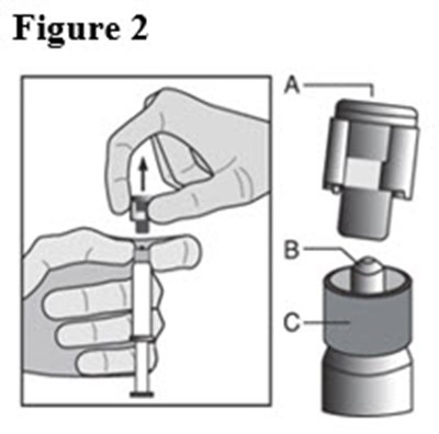 Figure 2 (Figure 2)
