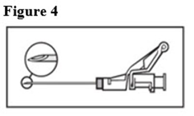 Figure 4 (Figure 4)